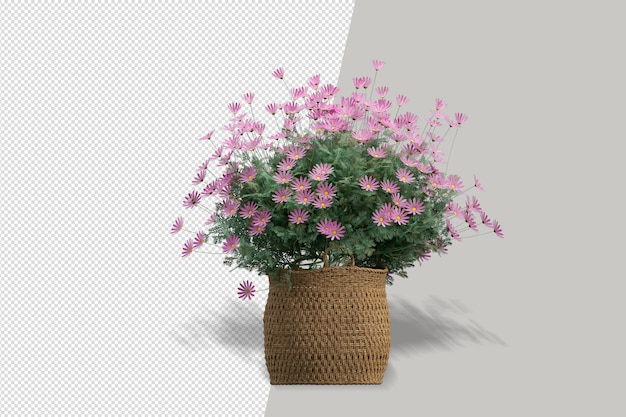 Pianta di fiori in vaso nel rendering 3d isolato