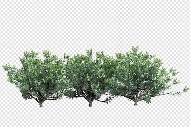 Pianta e arbusti nel rendering 3d isolati