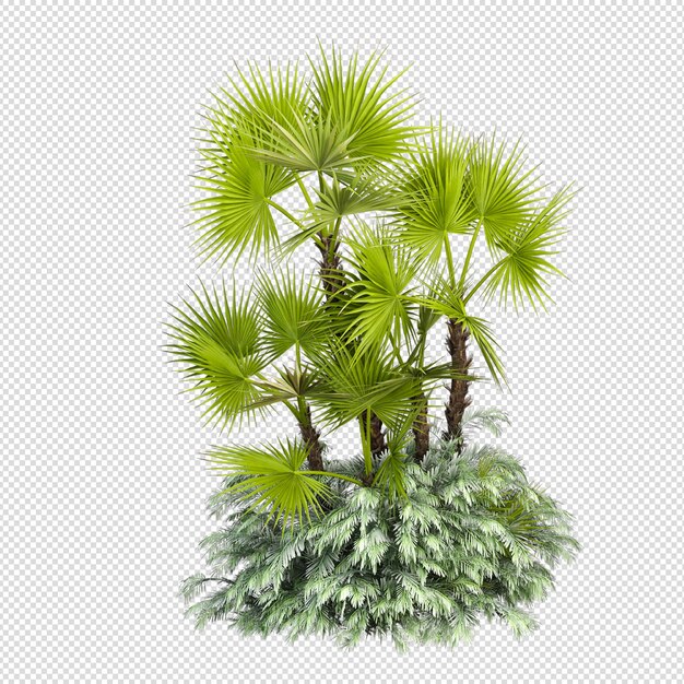 Pianta estiva nel rendering 3d isolata