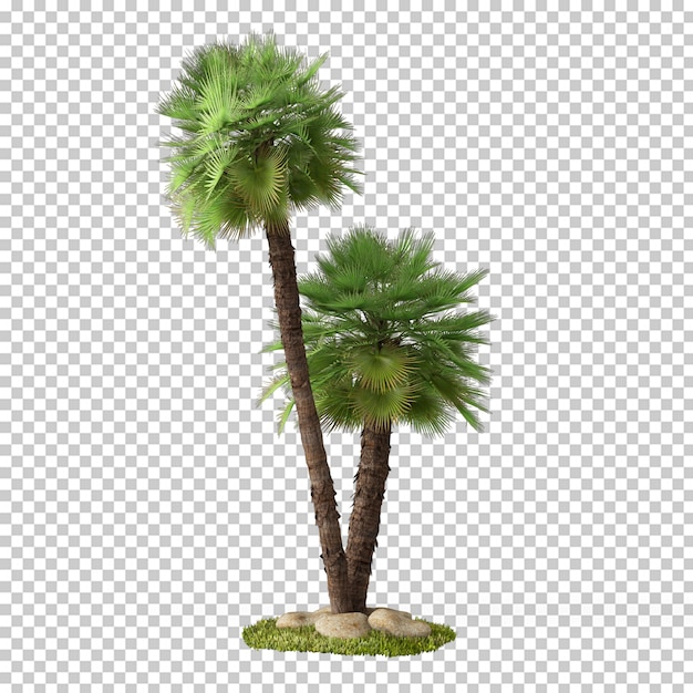 Pianta in rendering 3d