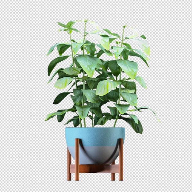 Pianta in vaso nel rendering 3d isolato