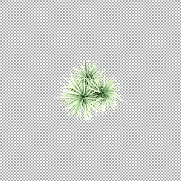 Pianta isolata nel rendering 3d