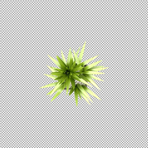Pianta isolata nel rendering 3d