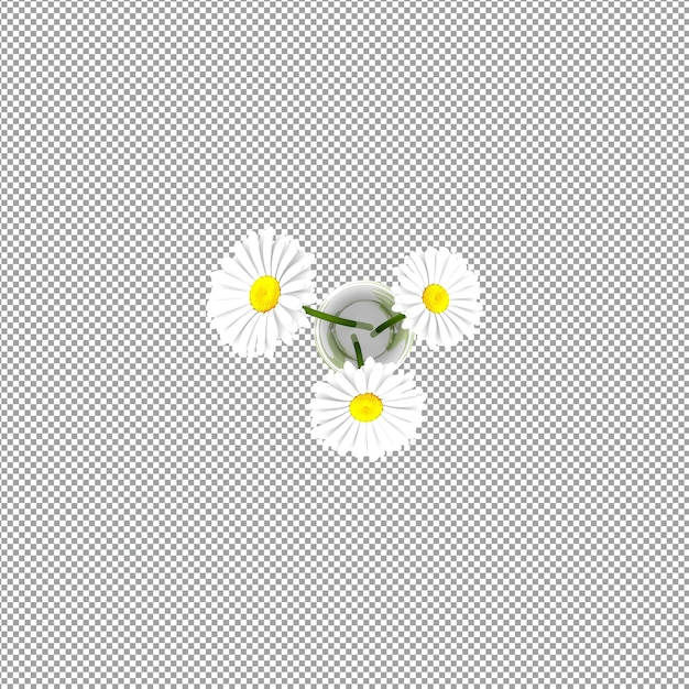 Pianta isolata nel rendering 3d