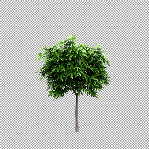 Pianta isolata nel rendering 3d