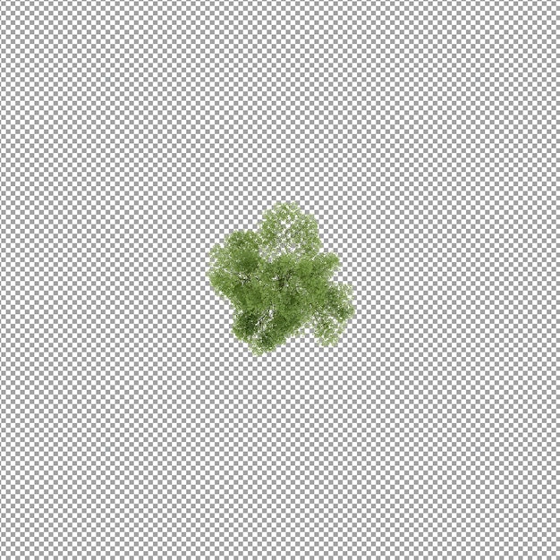 Pianta isolata nel rendering 3d