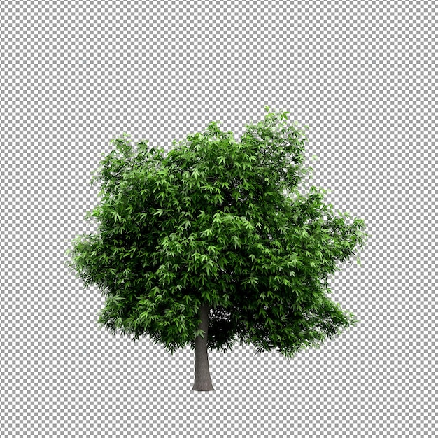 Pianta isolata nel rendering 3d