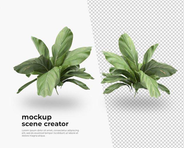 Pianta nel mockup di decorazione di rendering