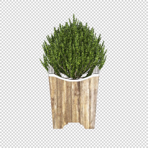 Pianta PSD, Pianta PNG, Scarica Pianta Sfondo trasparente