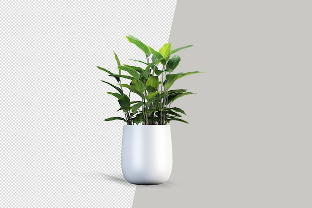 Pianta realistica in rendering 3d
