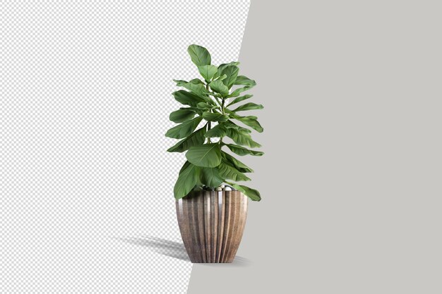 Pianta realistica in rendering 3d