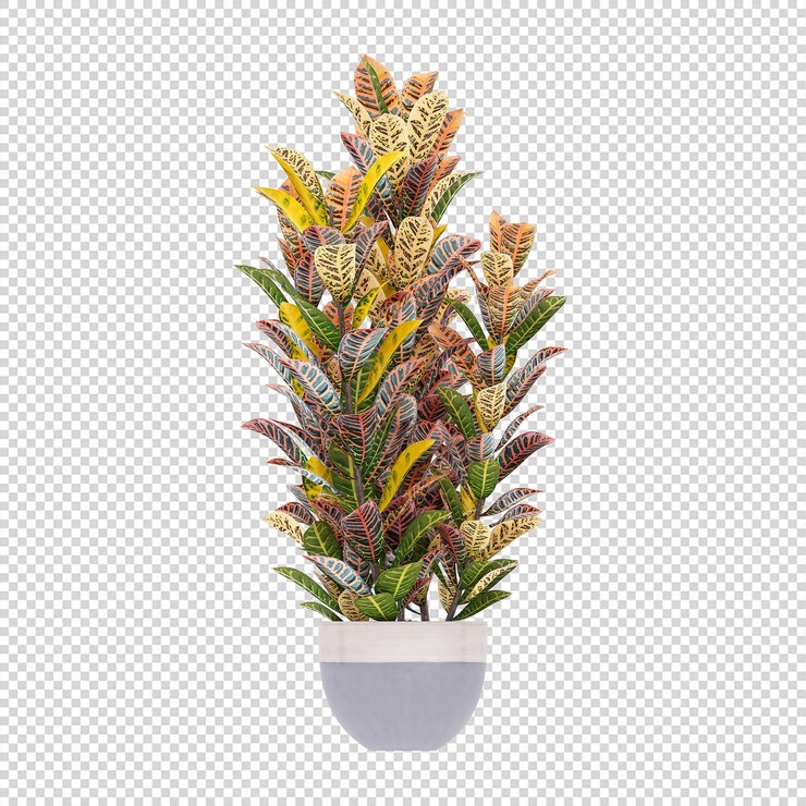 PSD piante d'appartamento di mockup 3d di piante verdi incastonate in fiori
