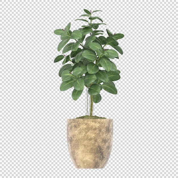 Piante d'appartamento di mockup 3d di piante verdi incastonate in fiori