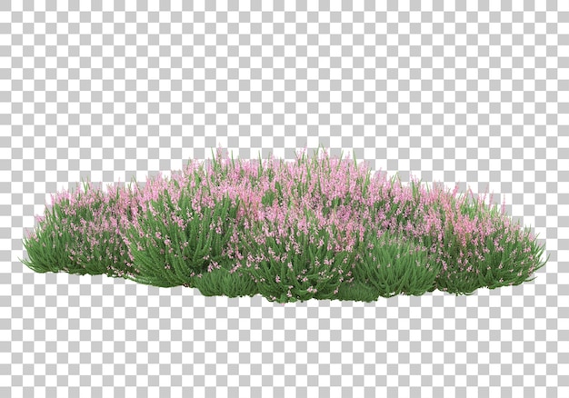 Piante medicinali su sfondo trasparente 3d rendering illustrazione
