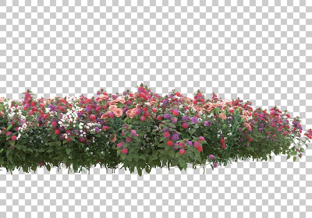 Piante realistiche su sfondo trasparente illustrazione di rendering 3d