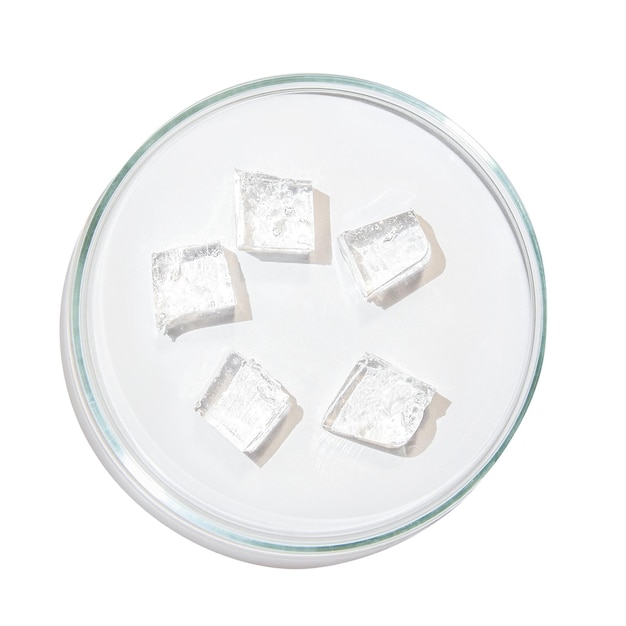 Piatta di Petri con gelatina trasparente a cubetti su uno sfondo vuoto PNG