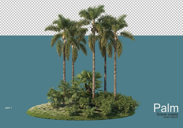 Piccola piantagione di palme