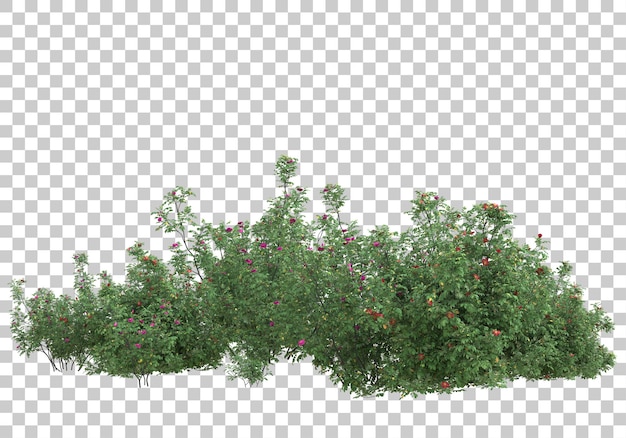 Piccoli alberi su sfondo trasparente 3d rendering illustrazione