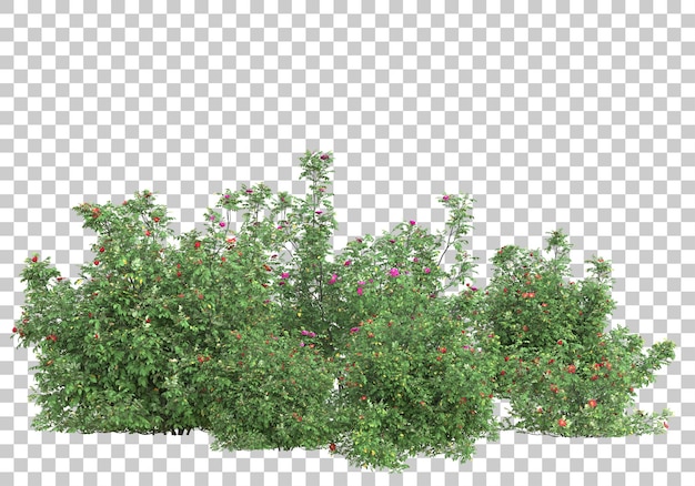 Piccoli alberi su sfondo trasparente 3d rendering illustrazione