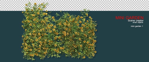 Piccolo giardino con molte piante