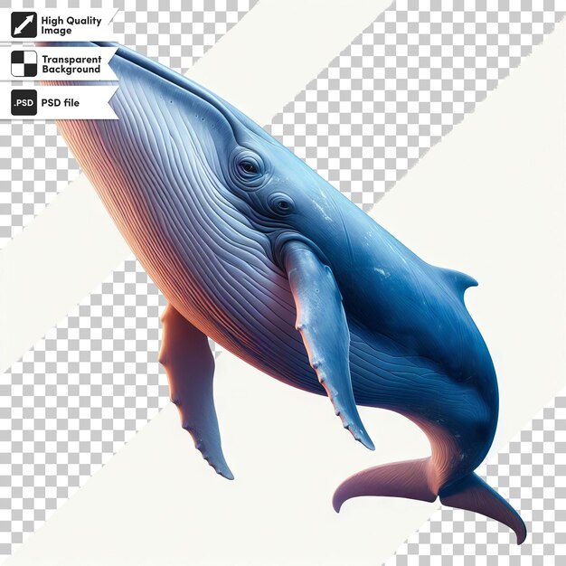 PSD a picture of a blue whale that has the word whale on it