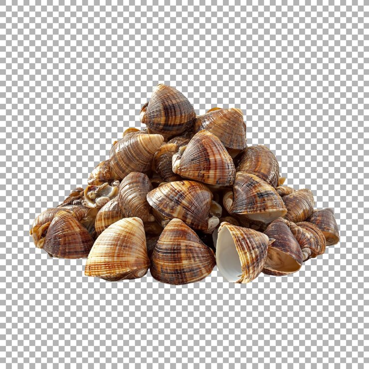 PSD una pila de diferentes conchas marinas en un fondo transparente generado por ai