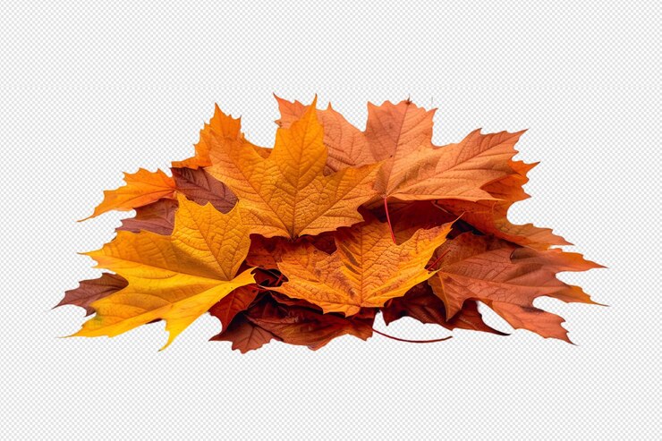 Una pila de hojas amarillas de otoño sobre un fondo transparente