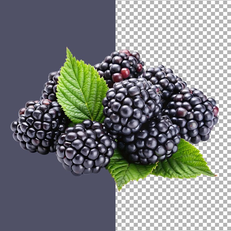 Una pila de moras frescas con hojas verdes aisladas en un fondo transparente