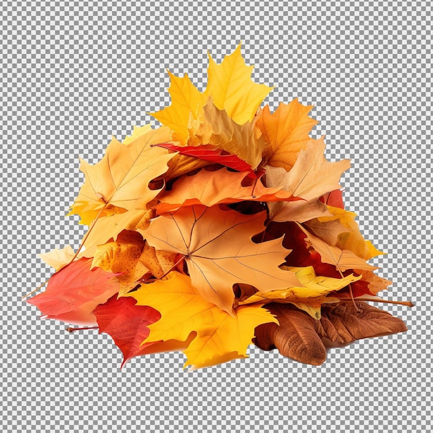 PSD une pile de feuilles d'automne d'érable colorées isolées sur un fond blanc