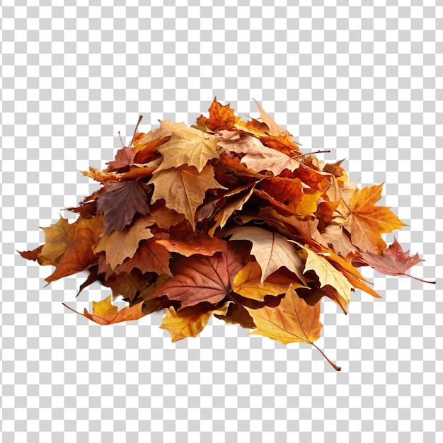 Une Pile De Feuilles D'automne Isolées Sur Un Fond Transparent