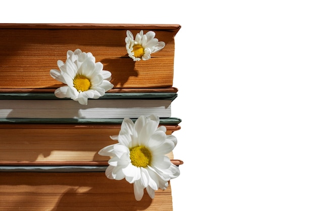 Une pile de livres isolée