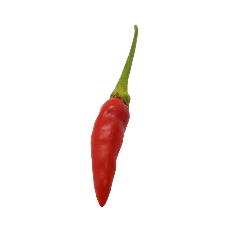 PSD un pimienta roja con un tallo verde y la palabra que amo en él