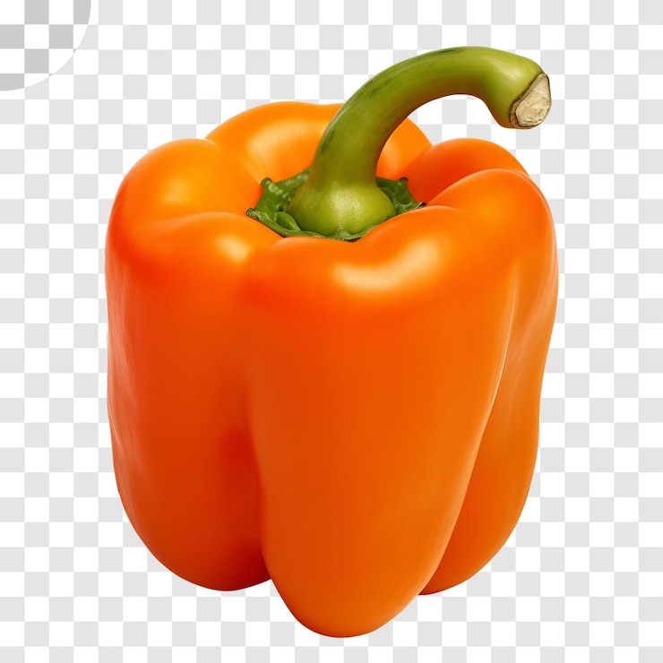 PSD pimiento naranja sobre fondo transparente