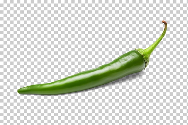 Pimiento serrano orgánico aislado sobre fondo transparente o blanco png