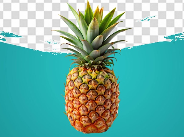 Piña fresca aislada