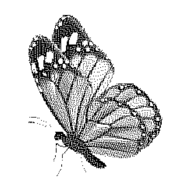 Pinça de arte borboleta Ilustração vetorial animal