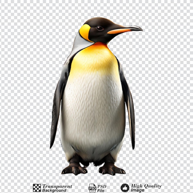 PSD pinguim rei isolado em fundo transparente