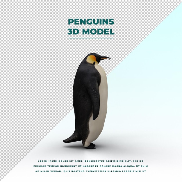 PSD pinguin