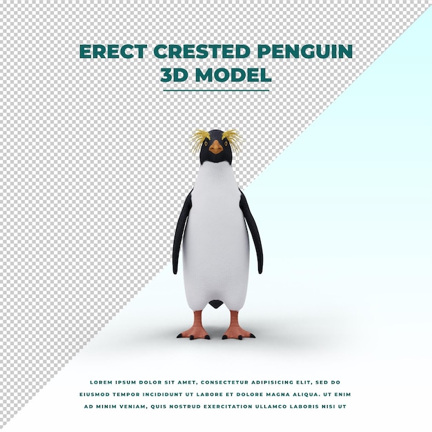 Pinguino crestato eretto isolato