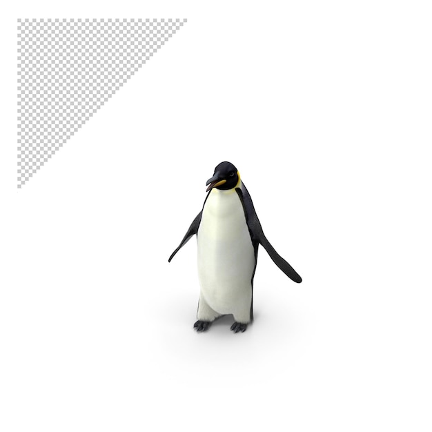 PSD pinguino png