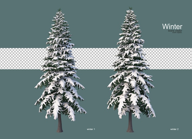 Pini di varie dimensioni in inverno