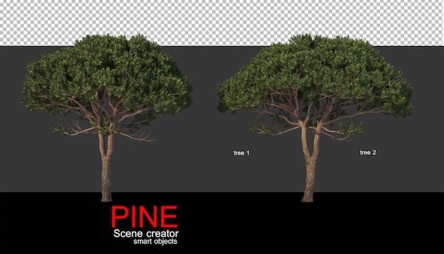 Pini di varie dimensioni