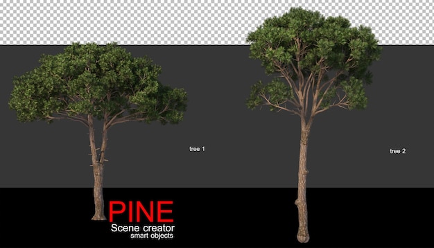 Pini di varie dimensioni