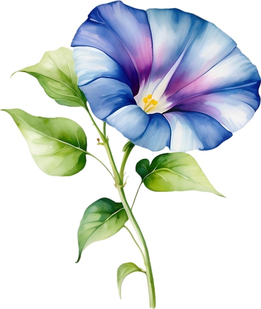 PSD pintura a aquarela de uma flor morning glory aigenerated