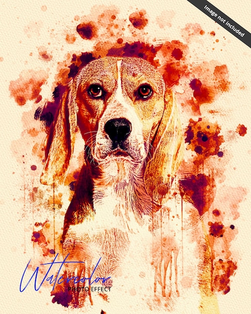 Una pintura de acuarela de un perro con el nombre acuarela.