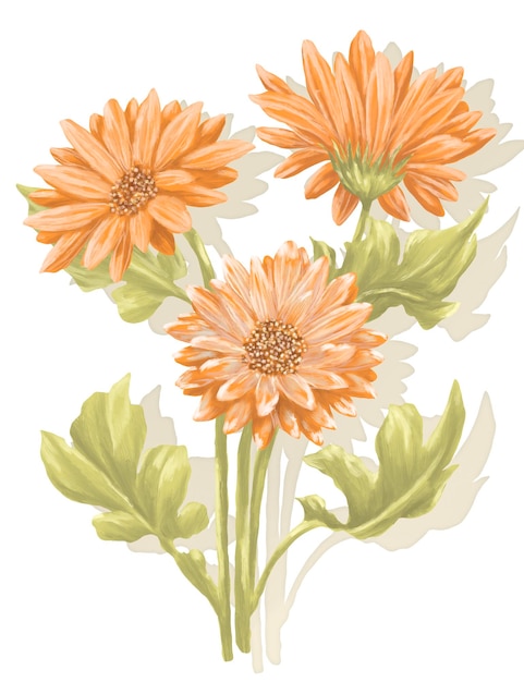 PSD pintura de flores de gerbera