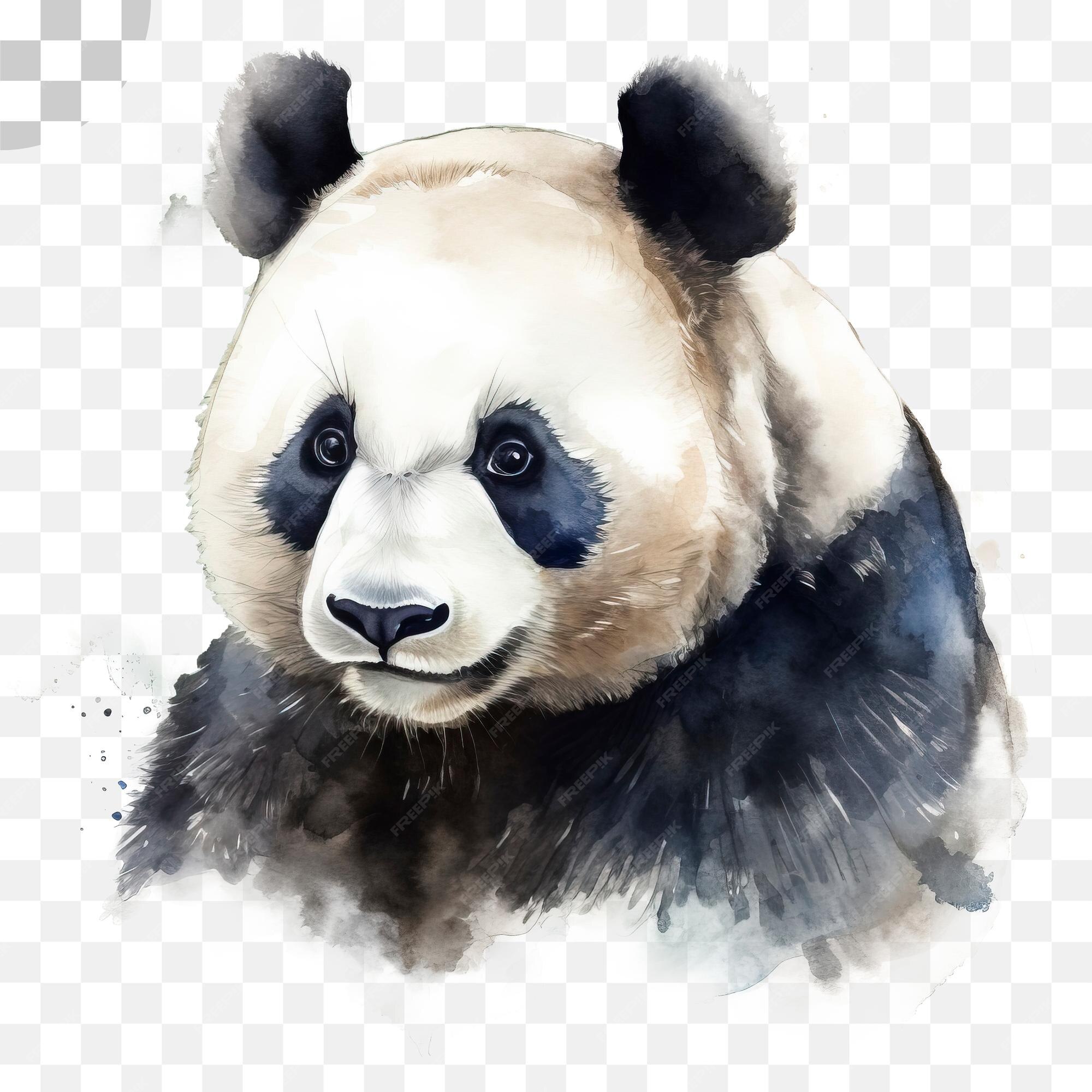 Arquivo de Panda PNG Desenho - Páginal Inicial