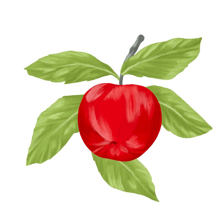 PSD pittura di frutta di mela rossa illustrazione botanica