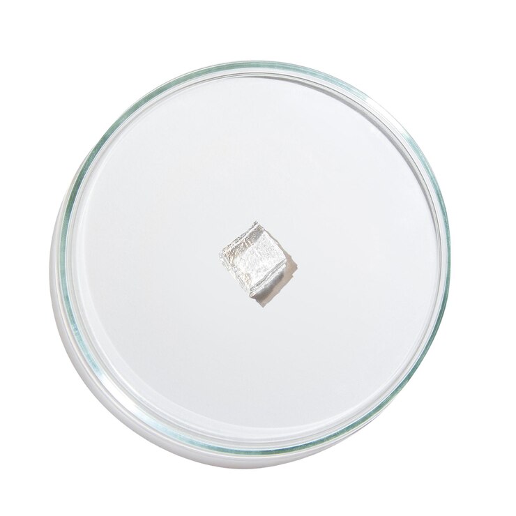 PSD placa de petri con gelatina transparente cortada en cubitos sobre un fondo vacío png