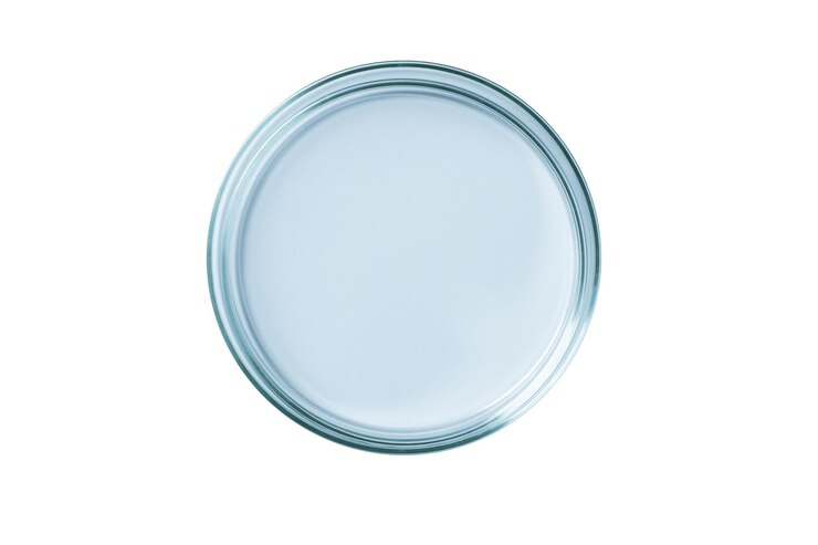PSD placa de petri de vidrio azul vacío aislado png